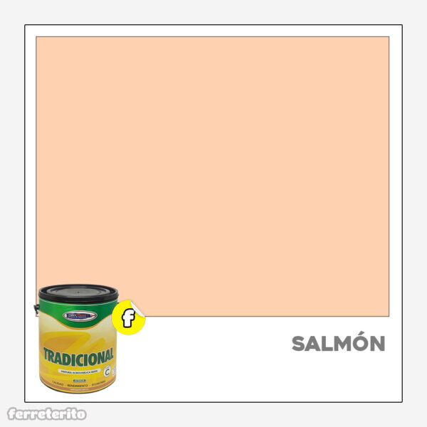Pintura Caucho Galon SALMON Tradicional METROPAINT