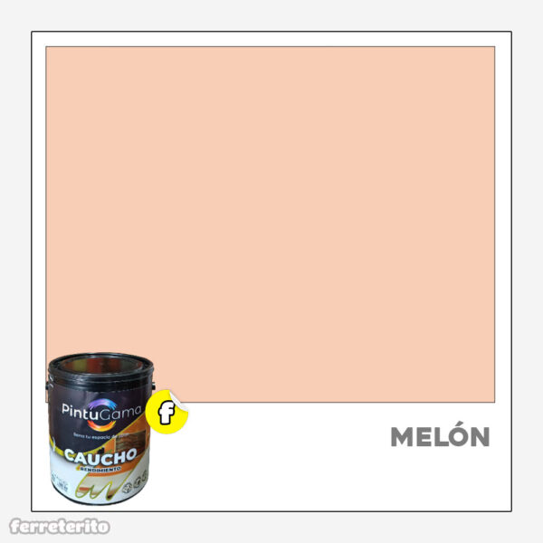 Pintura Caucho Galon MELON Rendimiento PINTUGAMA