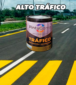 Pintura Alto Trafico PINTUGAMA