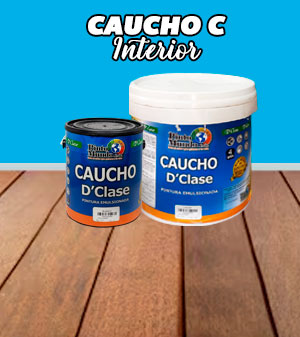 Pintura Caucho DClase Pinto Mundo