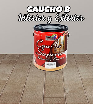 Pintura Caucho Superior Pinto Mundo
