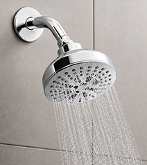 Duchas